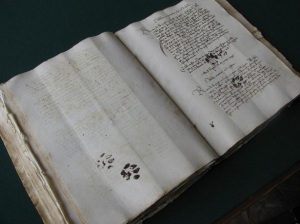 15th century cat behavior evidence